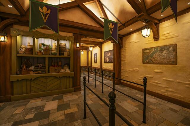 東京ディズニーシー「ファンタジースプリングス」内「アナとエルサのフローズンジャーニー」