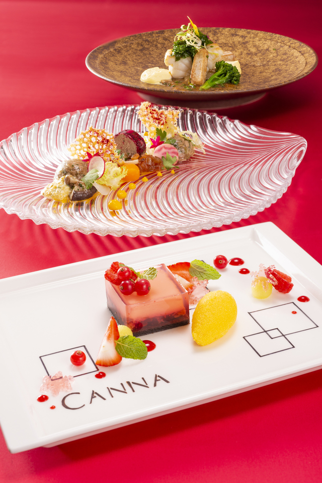 「カンナ」クリスマス プレシャスカンナ