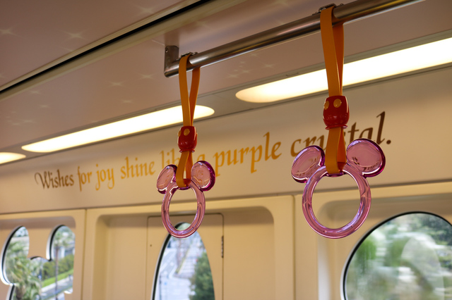 「“ザ・イヤー・オブ・ウィッシュ”ライナー」©Disney