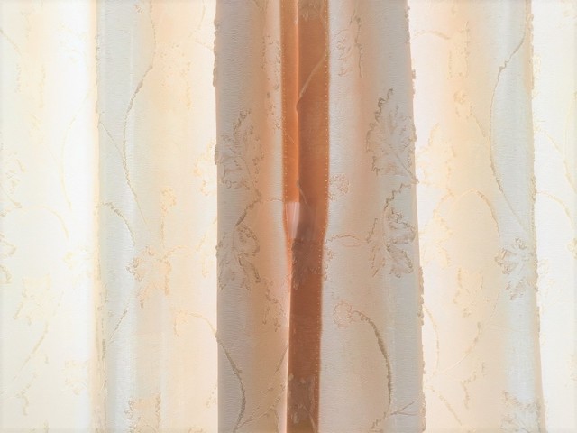 【キャンドゥ】カーテン隙間防止クリップ