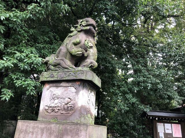 【阿佐ヶ谷神明宮】西大鳥居の脇に鎮座する狛犬