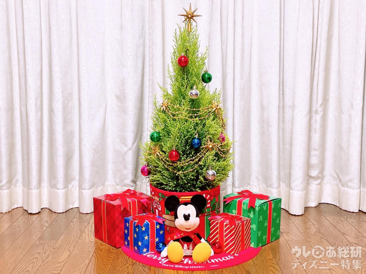 東京ディズニーリゾート】限定「生木クリスマスツリー」到着レポ