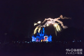 「ディズニー・イン・ザ・スターズ」花火｜香港ディズニーランド・リゾート