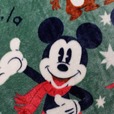 なめらかマイクロファイバー毛布(選べるキャラクター)|¥3,990 (税込)