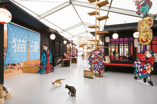 ⓒ江戸ねこ茶屋