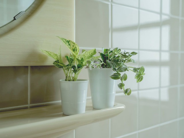 ＆Green飾り付け例2