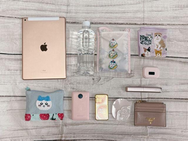 【カルディ コーヒーの日バッグ】こんなにたくさん物を収納できました！