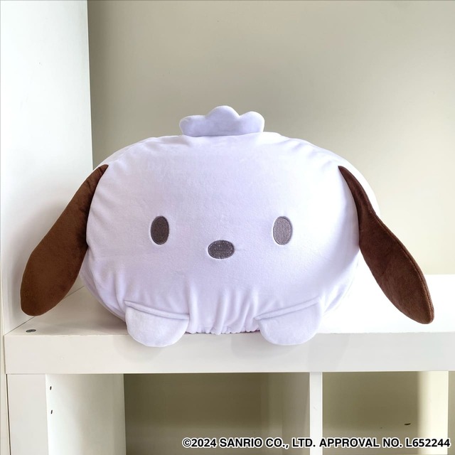 【サンリオキャラクターズ】hanpo カバー付きバランスボール　ポチャッコ　8,250円