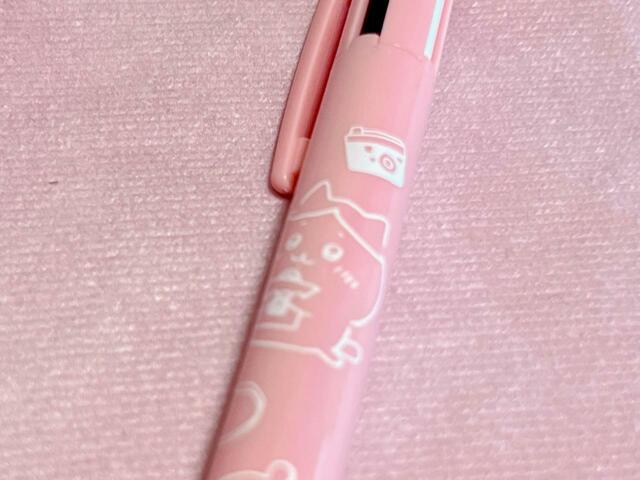 【ファッションセンターしまむら】ハチワレの大切なものはカメラです