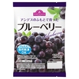 「アンデスのふもとで育った ブルーベリー」 150g 213.84円（税込）