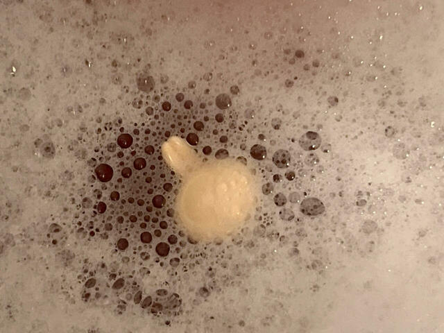 最終日3日目。この長いお耳は…