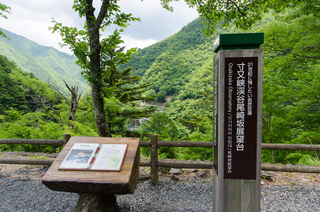 “展望台” の名称があるが、夏季は青葉が生い茂っており、ほとんど視界は開けていない｜「夢の吊り橋」散策ルート：寸又峡プロムナード