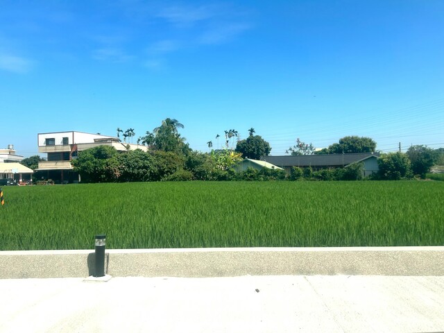 【台湾食べ歩きの旅 #19】森林鉄道は嘉義駅から出発してしばらくは平地を走る。のどかな田園風景や民家の脇を通って山へ向かう