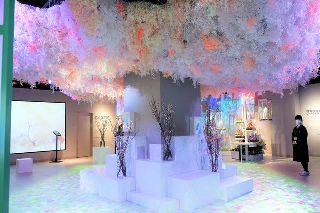 「桜彩（オウサイ）」