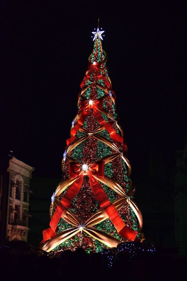 天使のくれた奇跡3 ~The Voice of an Angel~|ユニバーサル・ワンダー・クリスマス|ユニバーサル・スタジオ・ジャパン