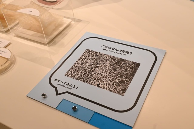 【とらや特別展】「これは何の写真？」ヒント：寒天に関係する写真です！