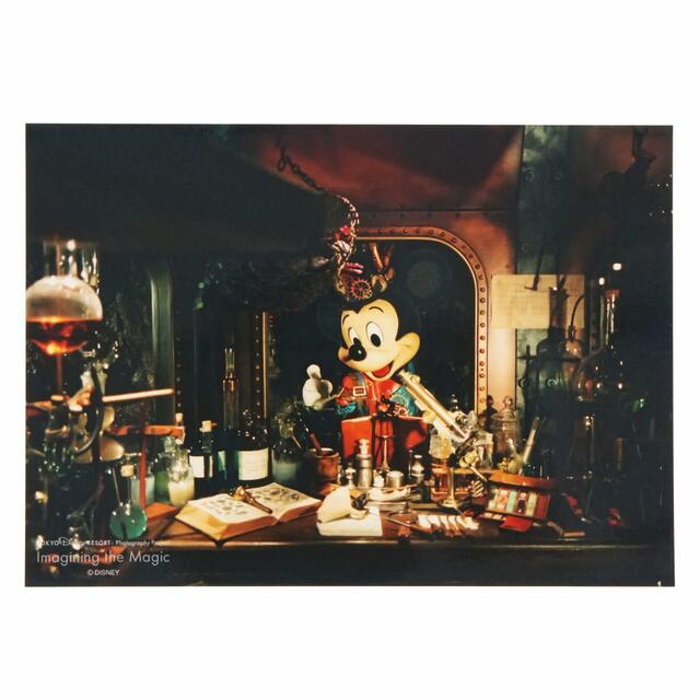 写真 500円|東京ディズニーリゾート・フォトグラフィープロジェクト「イマジニング・ザ・マジック」第2弾グッズ|東京ディズニーリゾート40周年“ドリームゴーラウンド”|発売日:2023年12月7日(木)|販売店舗:東京ディズニーランド「グランドエンポーリアム」、東京ディズニーシー「ヴァレンティーナズ・スウィート」