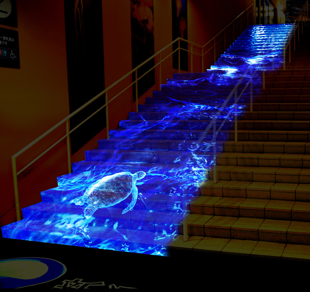 ウミガメがお出迎え。