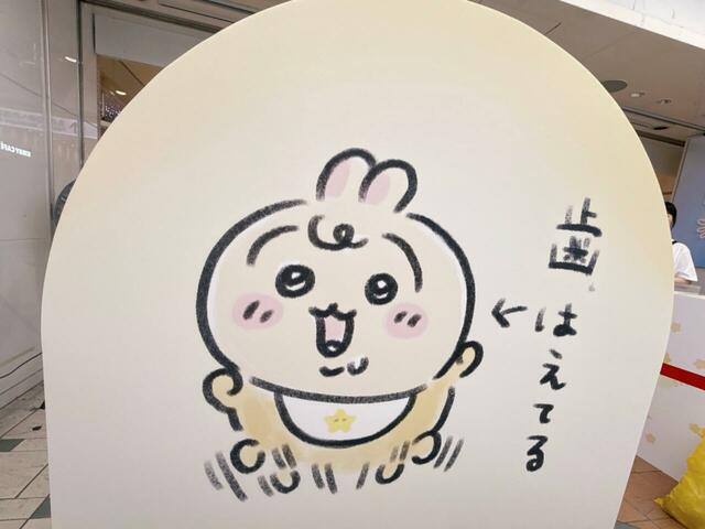 棚の側面にもかわいいイラスト入り。ベビーなのに歯が生えているのがうさぎすぎる…！