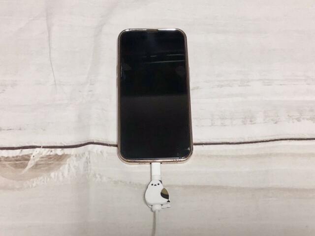 実際に充電してみるとこんな感じに♪