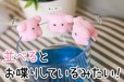 【まいにちめんだこ】めんだこシュガー
