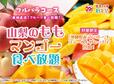 「開催概要」＜⼤⼈3,200円～ ／ ⼩⼈1,800円～＞【スイパラ「山梨のもも＆マンゴー食べ放題」】