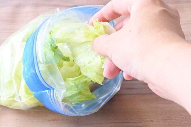 【野菜・肉の便利な冷凍保存術／レタス】冷凍用保存袋にちぎりながら入れます