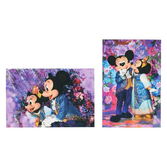 ポストカードセット 600円｜東京ディズニーリゾート・フォトグラフィープロジェクト「イマジニング・ザ・マジック」グッズ｜販売店舗：東京ディズニーランド「ギャグファクトリー／ファイブ・アンド・ダイム」、東京ディズニーシー「エンポーリオ」｜発売日：2026年3月6日（金）