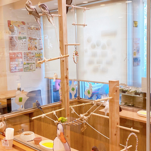 「ことりすまいるカフェ」店内写真