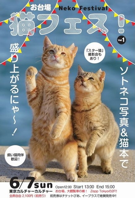 猫フェス　ポスター