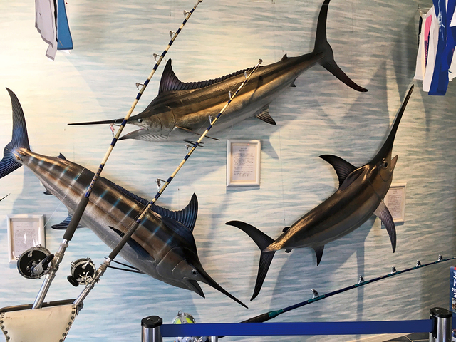 大洗カジキミュージアム