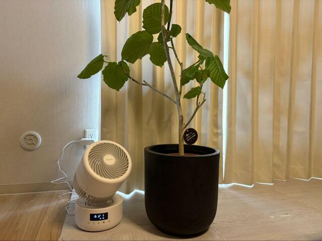 【アイリスオーヤマ WOOZOO 360 barrel】サイズは（約）幅195×奥行195×高さ325mm。コンパクトでどんな部屋に置いても調和します◎