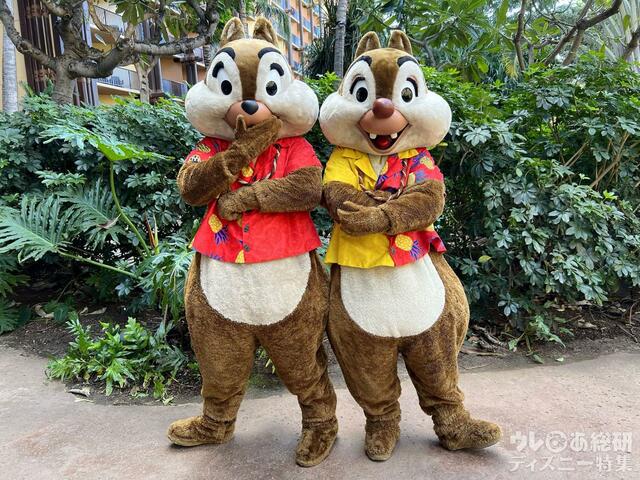 アウラニで会えるキャラクター