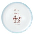 「通販限定オリジナルデザインプレート2枚セット　」＜￥2,880(税込￥3,168)　※送料込み＞【スヌーピー×ジョイフルオリジナルグッズキャンペーン】