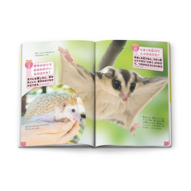 【マクドナルド「ほんのハッピーセット」】ミニ図鑑「小学館の図鑑NEO 特別版 本物の大きさ図鑑」/自分の手と比べてみたり、動物の顔に接近してみたり、リアルな迫力を備えた図鑑