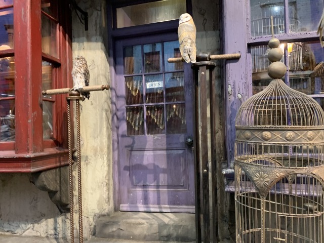 ハリーたちがペットのフクロウを買いにくる「イーロップス フクロウ エンポリアム」