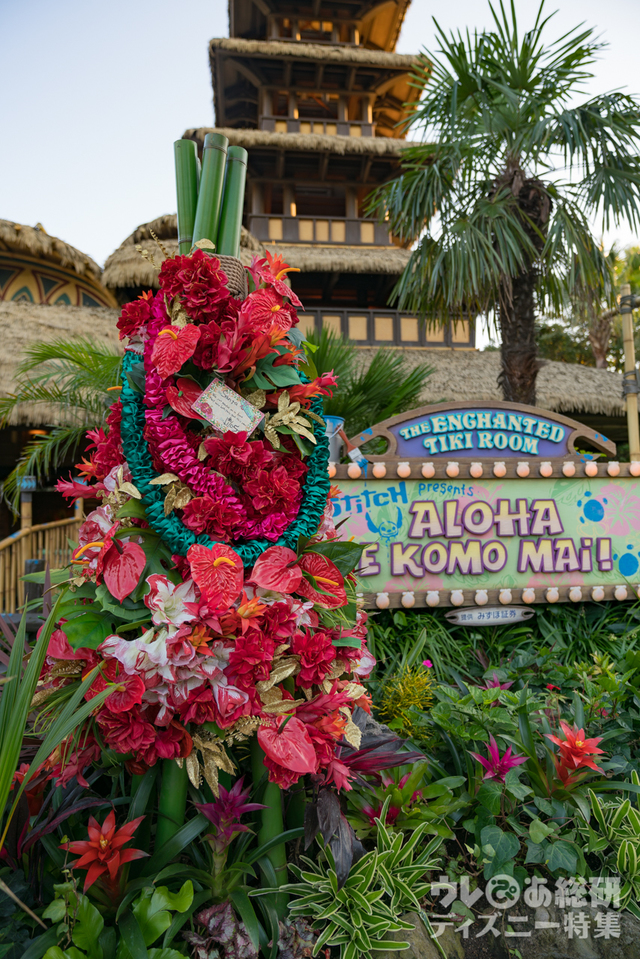 アドベンチャーランド｜東京ディズニーランド2017年「クリスマス・ファンタジー」