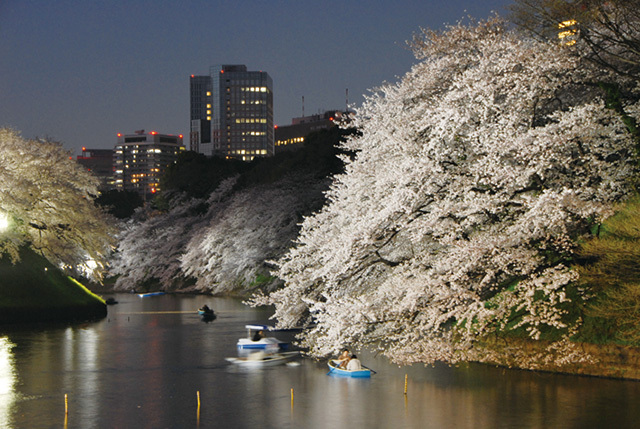 千代田のさくらまつり（東京／九段下）