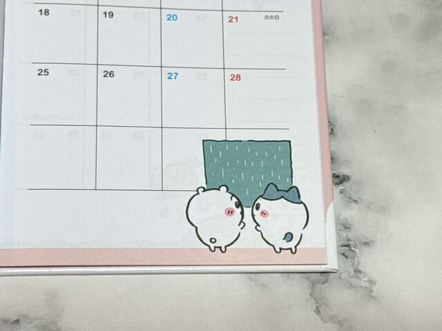 雨が降る窓の外を見つめるちいハチ。梅雨らしいイラストです♪