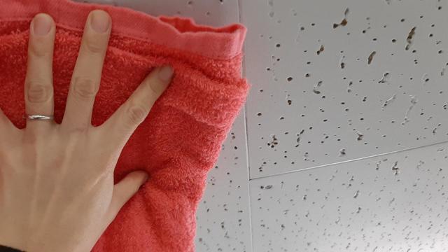 天井の模様替え1：まずは雑巾を濡らし、天井を拭いて汚れを落とす