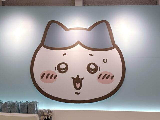 レジ奥には焦っているハチワレも。心配になってしまいますね…!