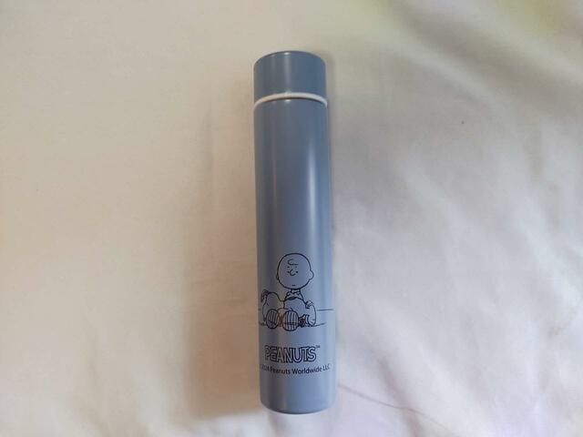 裏面には、飼い主のチャーリー・ブラウン少年が登場