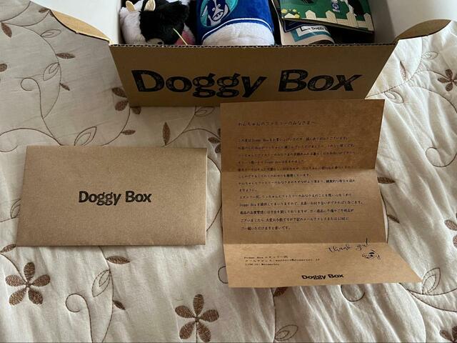 【Doggy Box 手紙】ちゃんと封筒の中に入っています