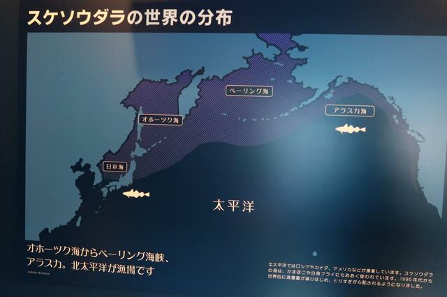 スケソウタラの世界の分布