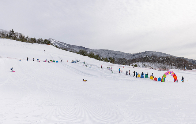 滑り終えたら、すぐまた列に並びたくなる