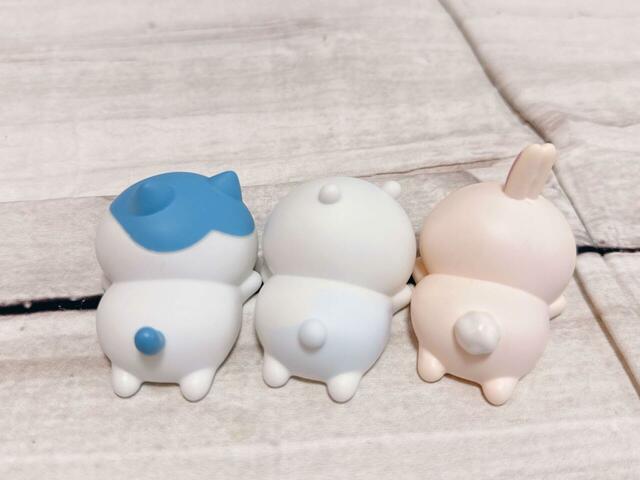 上から写してもかわいいんですよ…！