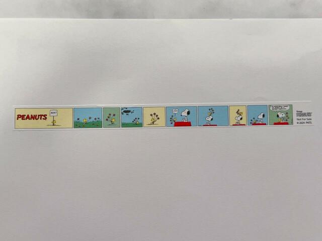 カラフルで楽しげな印象♪