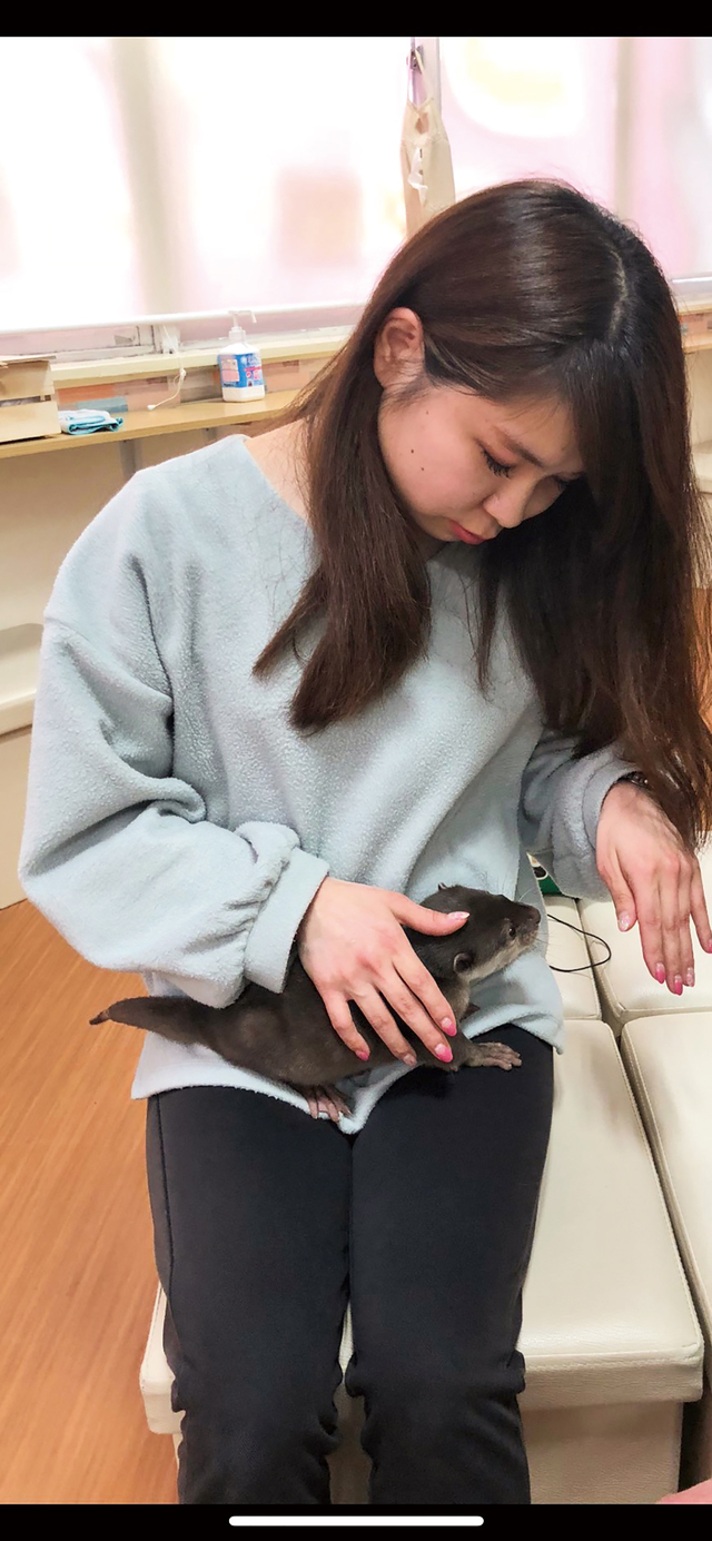 コツメイト／キュートなカワウソと握手ができる。