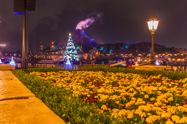 クリスマス・ウィッシュ 2015