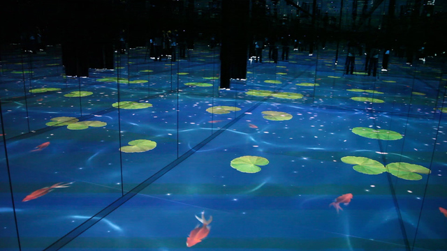 美しい四季折々の映像や無限に広がる景色にうっとり